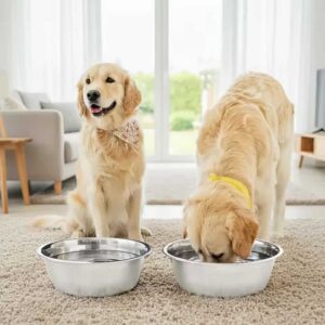 gamelle inox durable pour chiot et chaton