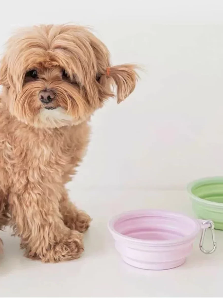 gamelle pliable voyage chien pour chiens et chats