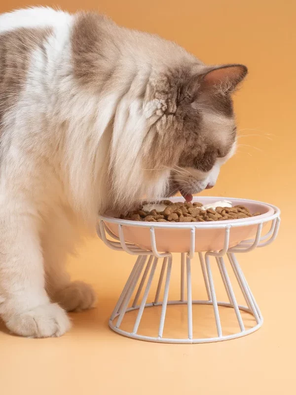 gamelle surélevée support pour chien et chat