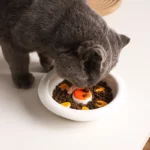 Gamelle céramique soleil pour ralentir la prise de nourriture des animaux