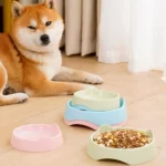 gamelle plastique oreille de chat pour chien