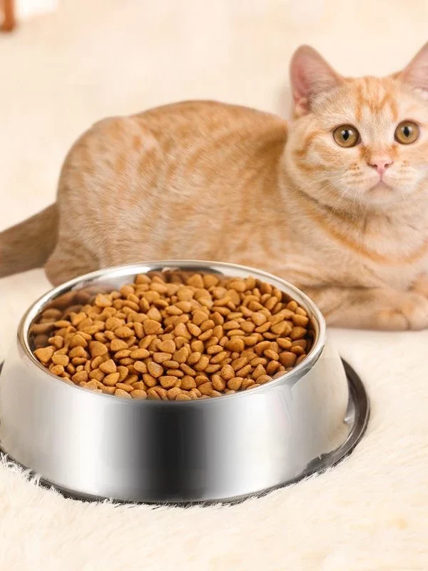 gamelle antidérapante inox pour chien et chat