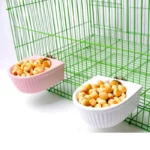 gamelle fixation cage rongeur pour hamster