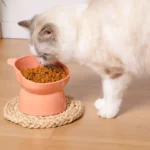 gamelle plastique surélevée ours pour chat