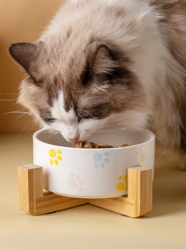 gamelle céramique support bois pour chien et chat