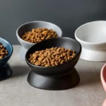 gamelle céramique ergonomique pour chiens et chats