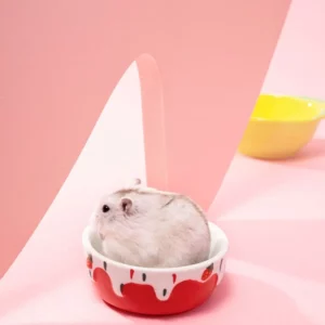 gamelle rongeur crème glacée pour hamster