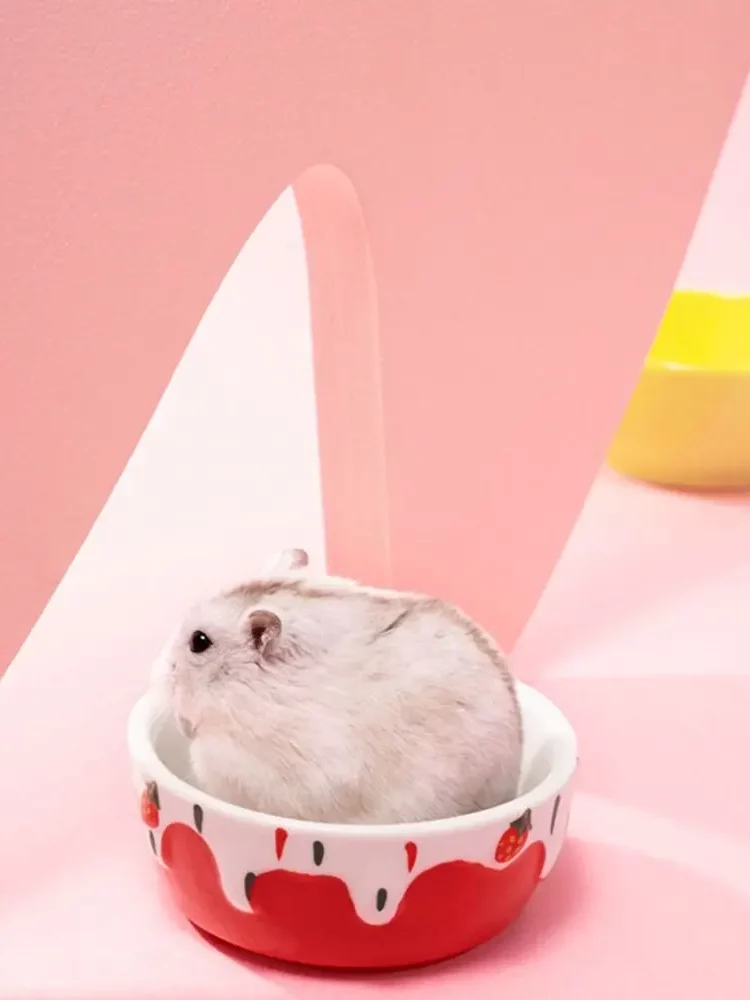 gamelle rongeur crème glacée pour animaux