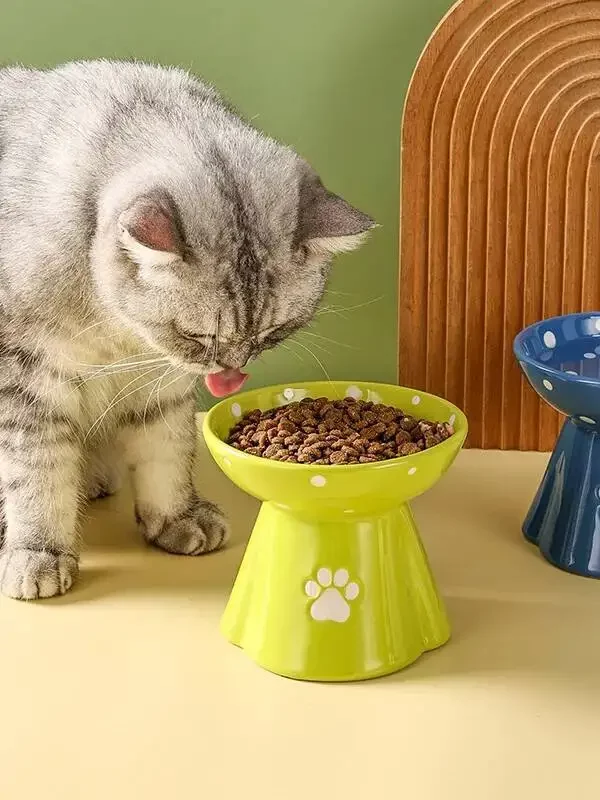 gamelle surélevée patte pour chien et chat