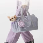 gamelle pliable voyage chien pour chiens et chats