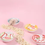 gamelle rongeur kawaii pour animal