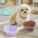 gamelle pliable coeur pour animal