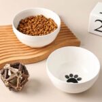 gamelle chien céramique double pour animal