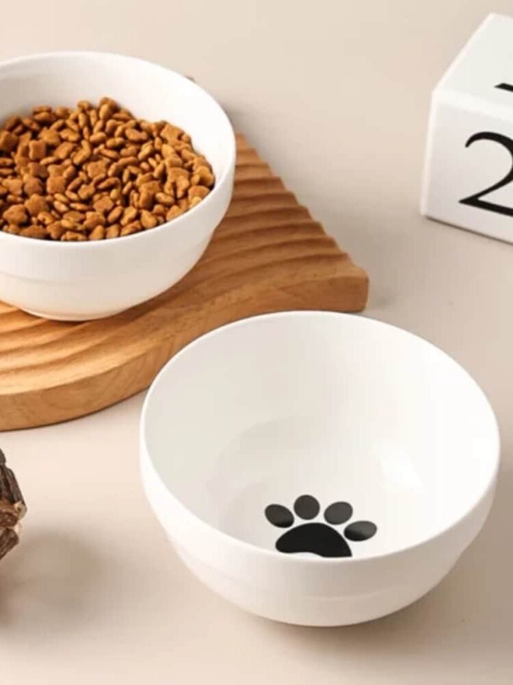 gamelle chien céramique double pour animal