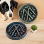 gamelle anti-glouton chien plastique pour chiens et chats