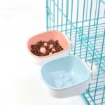 gamelle anti glouton rongeur pour animaux