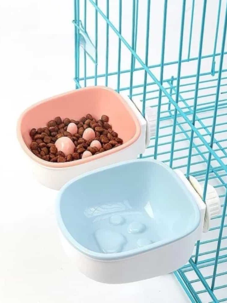 gamelle anti glouton rongeur pour animal