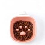 gamelle anti glouton rongeur pour rongeur