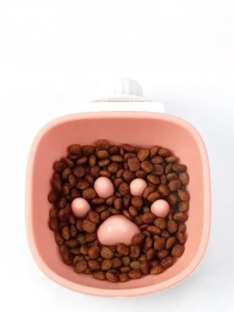 gamelle anti glouton rongeur pour animaux