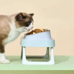 gamelle double surélevée inclinée pour animaux