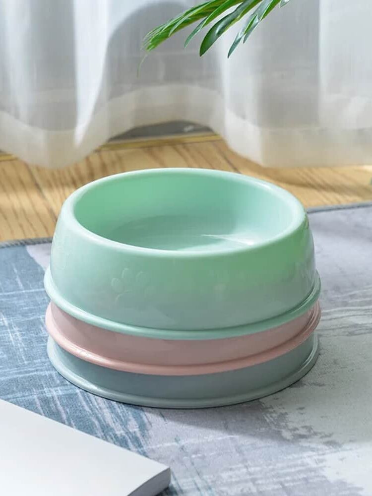 gamelle chien plastique pour animaux