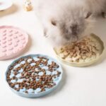 gamelle anti glouton relief patte pour croquettes