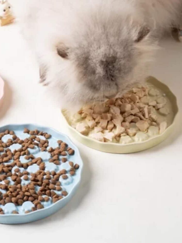 gamelle anti glouton relief patte pour chien et chat