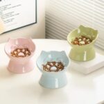 gamelle anti glouton inclinée chat pour animaux