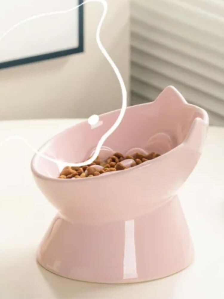 gamelle anti glouton inclinée chat pour chien et chat