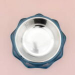 gamelle inox moderne pour croquettes