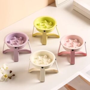 gamelle anti-glouton chien surélevée pour chiens et chats