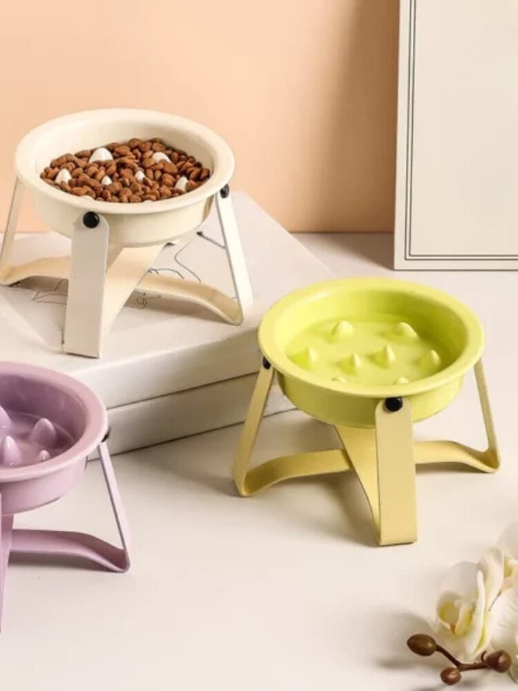 gamelle anti-glouton chien surélevée pour animal