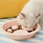 gamelle anti glouton plastique patte pour chat