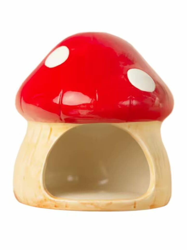 Gamelle Rongeur Céramique Champignon pour rongeurs