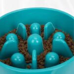 gamelle anti glouton chien etoile pour animal