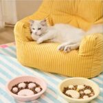 gamelle anti glouton plastique patte pour chien et chat