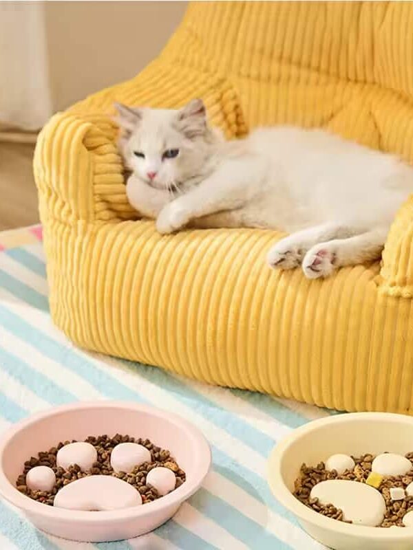 gamelle anti glouton plastique patte pour chien et chat