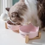Gamelle double pour chat en céramique, design chic et pratique