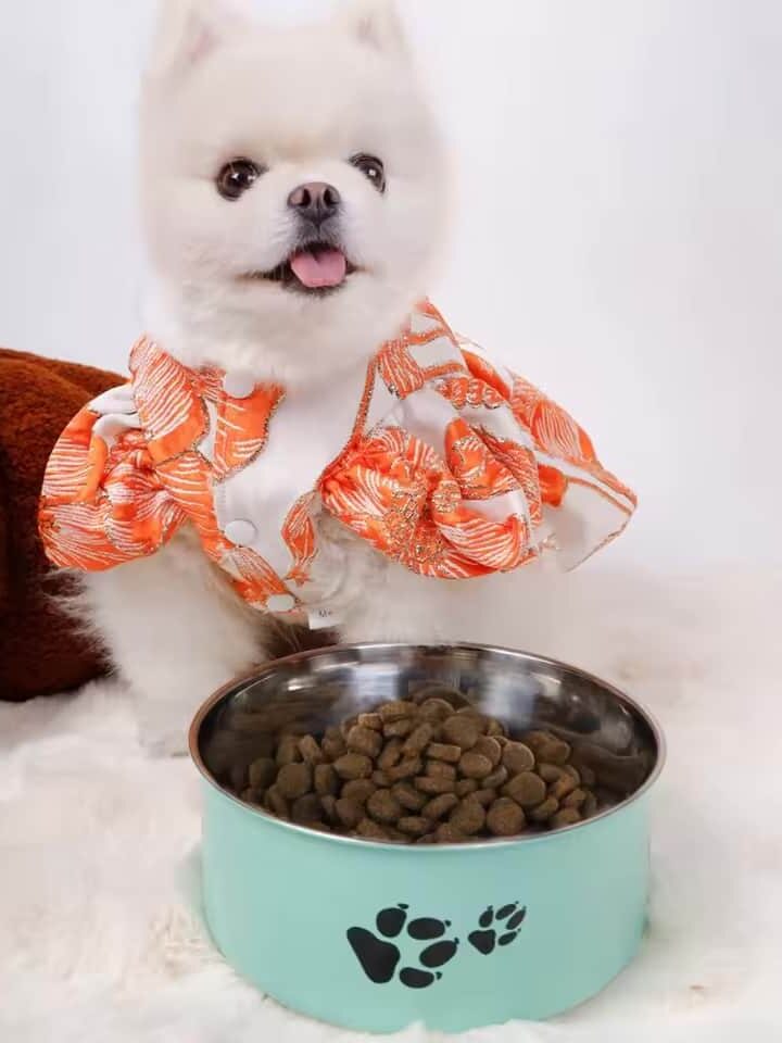 gamelle chien inox patte pour chien et chat