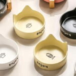 Gamelle en céramique pour chat, facile à nettoyer et durable