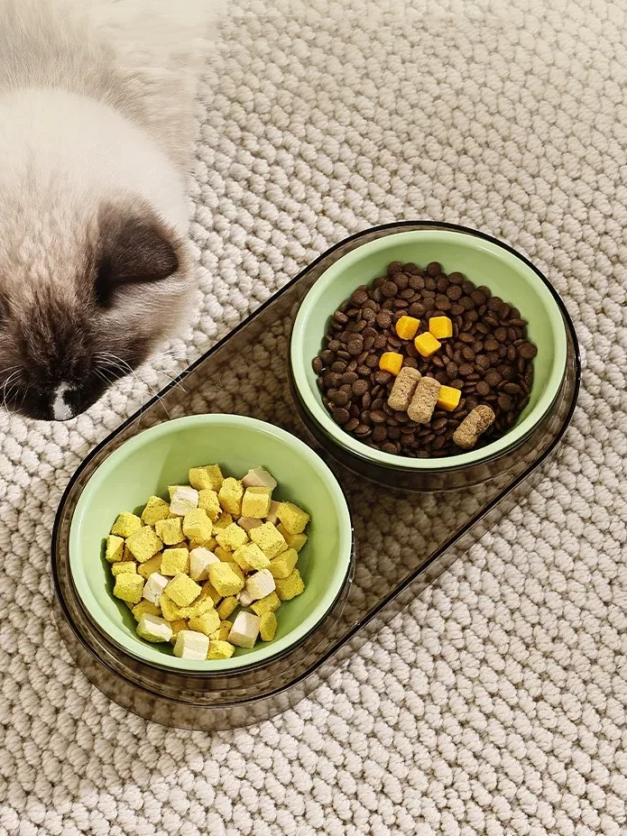 gamelle chien plastique double pour chiot et chaton