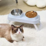 gamelle double surélevée inclinée pour chien et chat