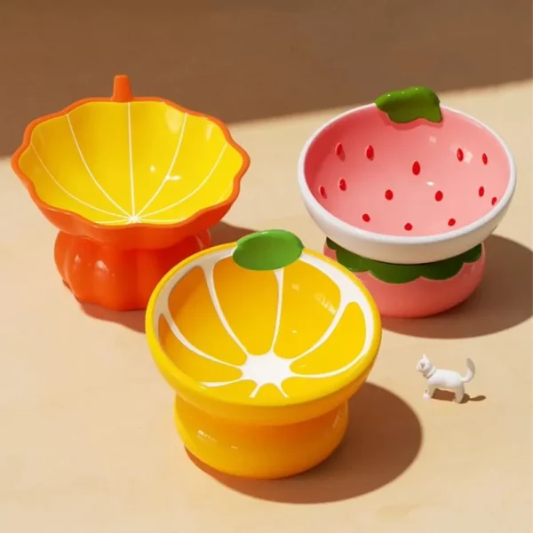 gamelle céramique surélevée fruit pour chiens et chats