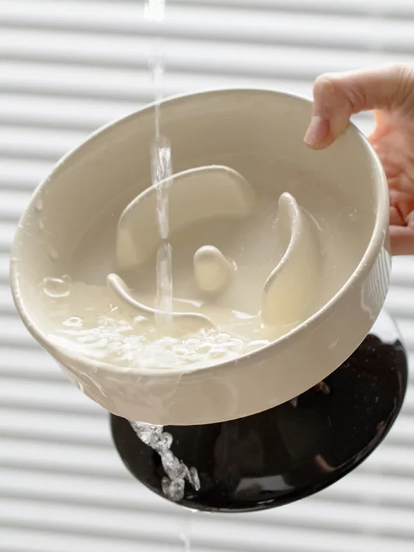 gamelle anti-glouton céramique surélevée pour animal
