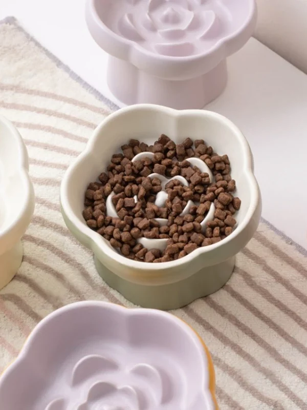 gamelle anti-glouton chat surélevée pour animaux