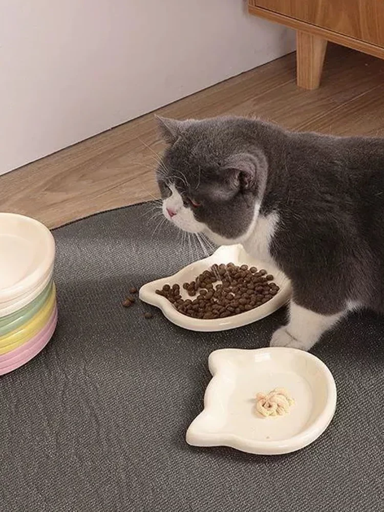 gamelle chat plastique pour animaux