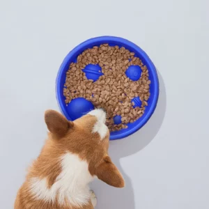 gamelle anti glouton chien planète pour chiens et chats