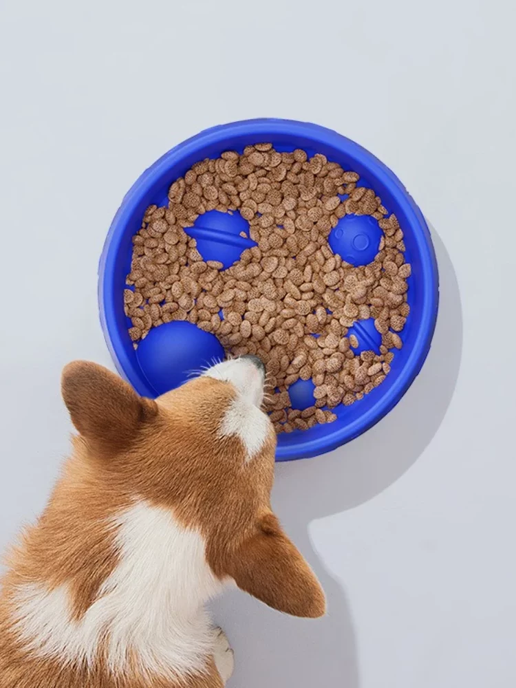 Gamelle Anti Glouton Chien Planète pour animaux