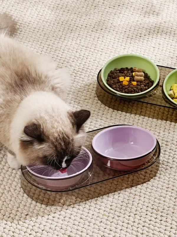 gamelle chien plastique double pour animaux