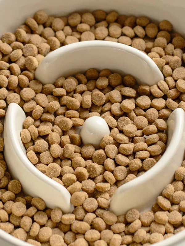 gamelle anti-glouton céramique surélevée pour chien et chat